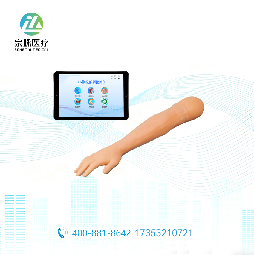 交互式手臂针灸多媒体教学系统_智能针灸手臂训练模型_上肢穴位针刺考核_重庆宗脉医疗